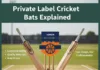 Private Cricket Bat Brands