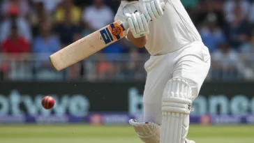 Effortless Shot Cricket Bats