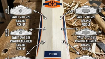 Cricket Bat Spine Design