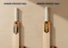 Cricket Bats Age Comparison