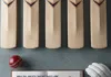 Professional Balanced Cricket Bats