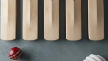 Professional Balanced Cricket Bats