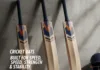 Speed Strength Stability Bats