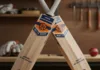 Durable Cricket Bats Design