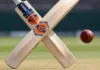 Strong Impact Cricket Bats