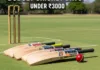 Low Price Cricket Bats