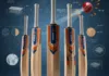 Science of Cricket Bats