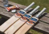Long Innings Cricket Bats