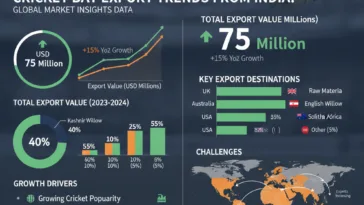 Cricket equipment export market