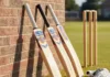 Perfect Cricket Bat Selection