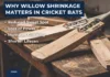 Willow Shrinkage Bat Care