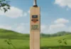 Eco conscious cricket brands