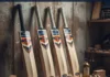 Clean Cricket Bat Performance