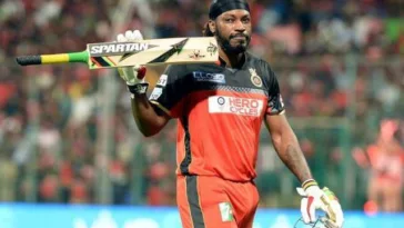 Big hitting cricket bat Vinox