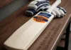 Shot Confidence Cricket Bat