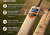 Perfect Cricket Bat Quality