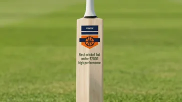 Durable cricket bat low price