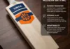 Cricket Bat Shape Importance