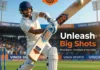 Affordable T20 Cricket Bat