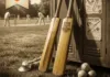 Retro cricket bat design
