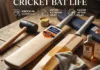 Long lasting cricket bat