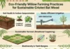 Cricket Bat Wood Sustainability