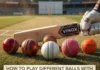 Master cricket shots easily