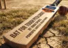 Heavy duty cricket bat