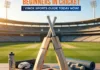 best beginner cricket bat