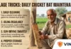 Cricket Bat Care Guide