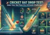Cricket Bat Performance Check