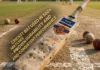 Reliable Cricket Bat Quality