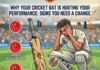 Replace Old Cricket Bat