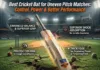 Cricket Bat For Uneven Pitches