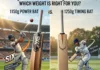 Cricket Bat Weight for Players