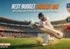 Budget Cricket Bat Power