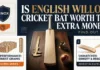 English Willow Bat Benefits