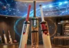 Kashmiri Willow Cricket Bat