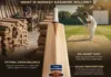 Affordable Kashmir Willow Cricket
