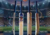 Premium Kashmir Willow Cricket